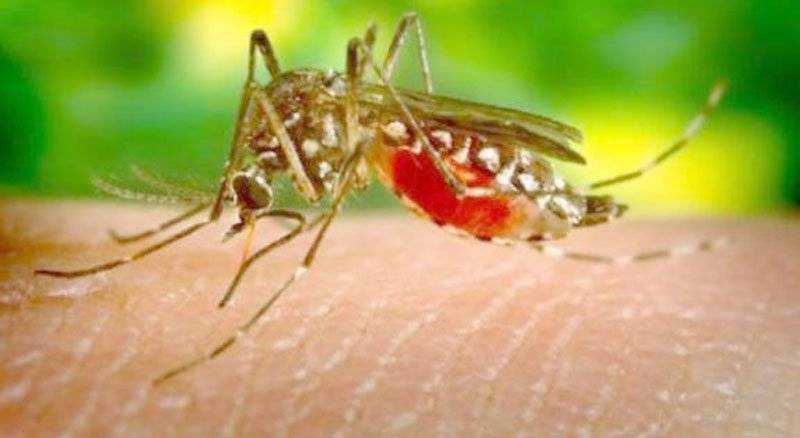 Tρία επιβεβαιωμένα κρούσματα του ιού του Δυτικού Νείλου στην Καβάλα