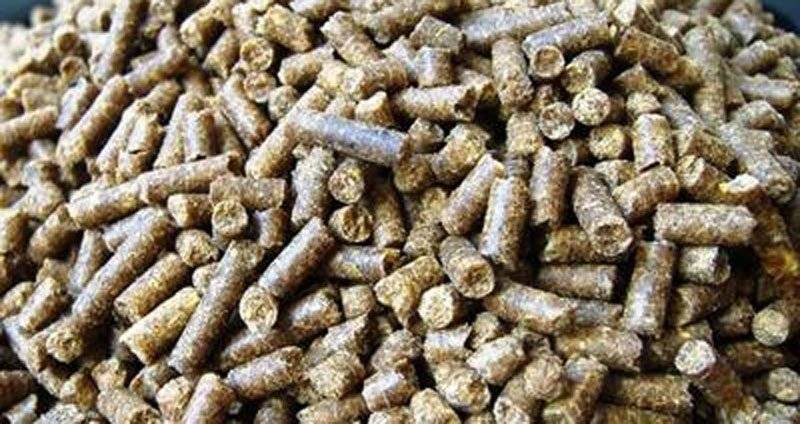  Η πρώτη μονάδα παραγωγής pellets στο Ν. Καβάλας
