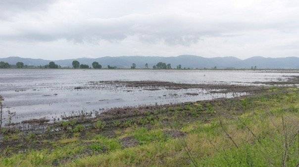  Λόγω πλημμυρισμένων Τεναγών – Αρκετοί αγρότες θα πεινάσουν τον επόμενο χειμώνα