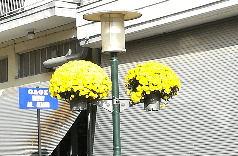  Γλάστρες και λουλούδια στις κολώνες φωτισμού της Ελευθερούπολης