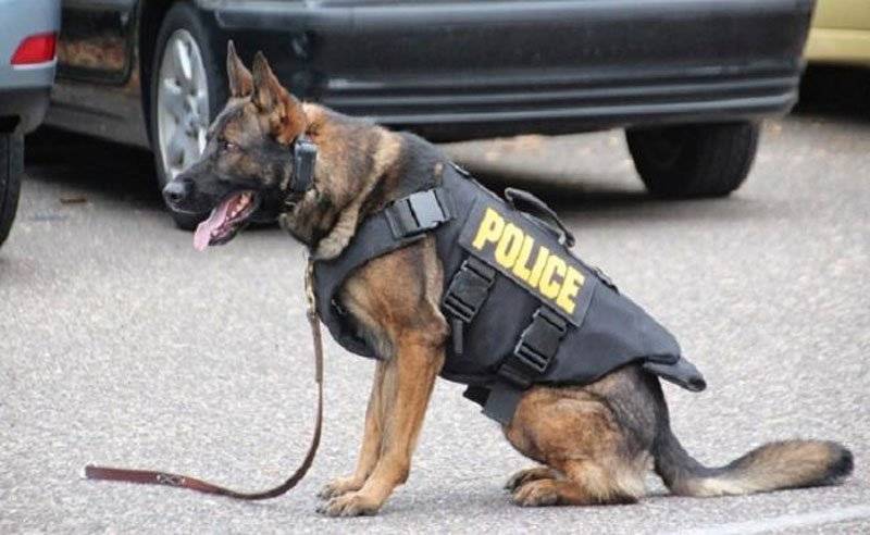  Δωρεά σκύλου στην Αστυνομική Διεύθυνση Καβάλας!