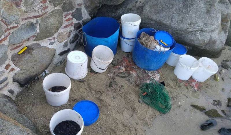  Καβάλα: Σύλληψη 36χρονου για παράνομη αλιεία ολοθούριων (ΦΩΤΟ)
