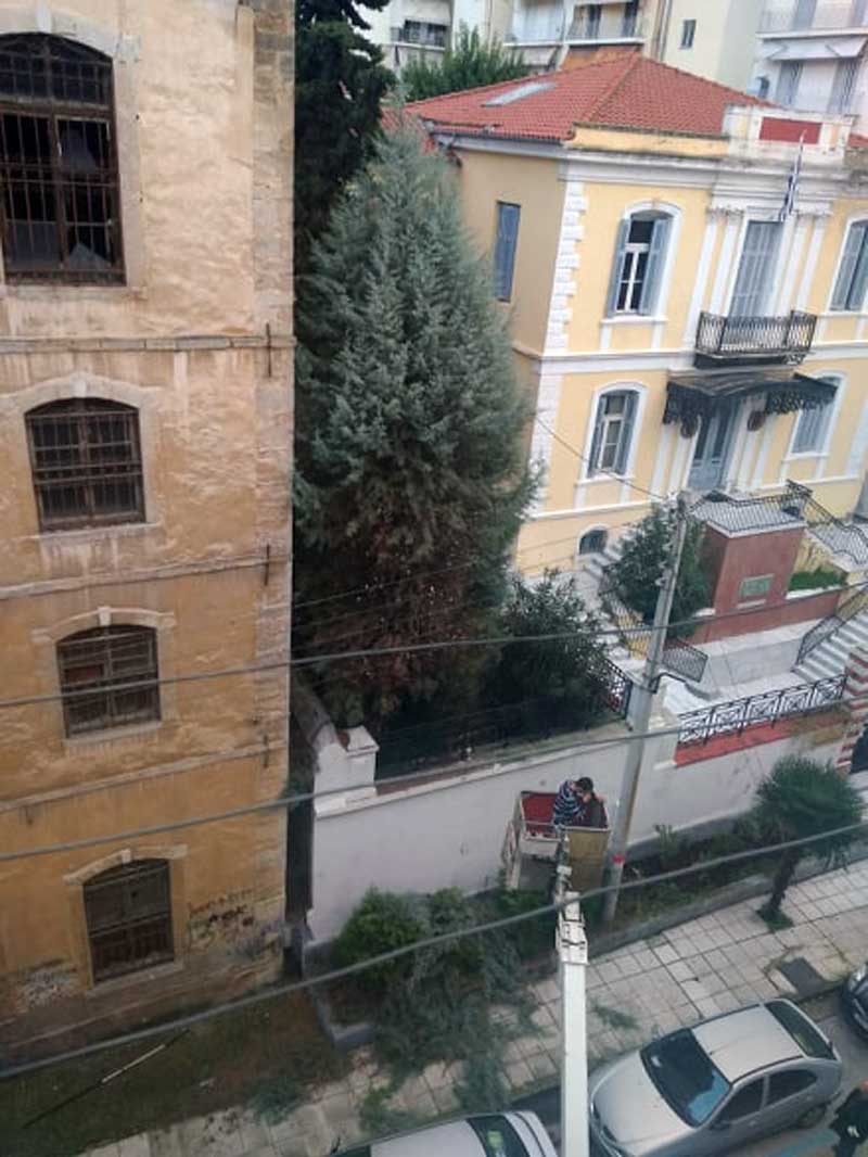  Εργολάβος του ΔΕΔΔΗΕ κλάδεψε δέντρα που ενοχλούσαν το δίκτυο