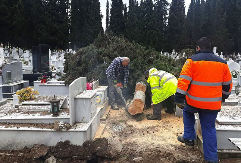  5 δέντρα πέσανε στα Νεκροταφεία , αρκετά πάνω σε τάφους