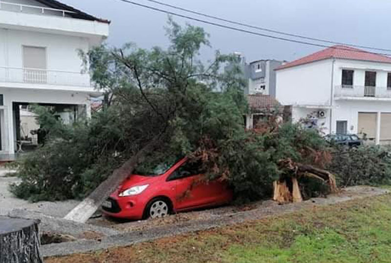  Πτώση δέντρων σε παρκαρισμένο όχημα στην Κεραμωτή (φωτογραφίες)