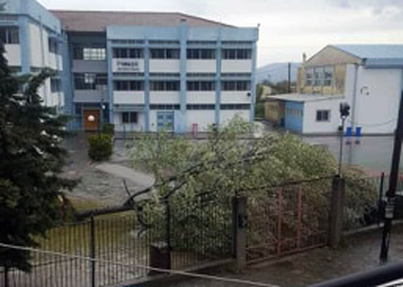  Πτώση δέντρου στο προαύλιο χώρου του Γυμνασίου Ελευθερούπολης (φωτογραφίες)