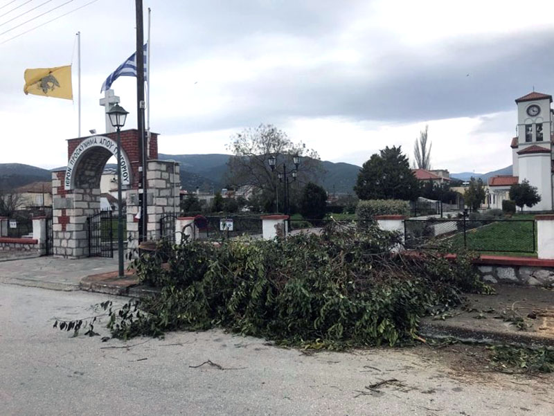  Εθελοντές καθάρισαν στη Νέα Καρβάλη τις περιοχές όπου έπεσαν δέντρα