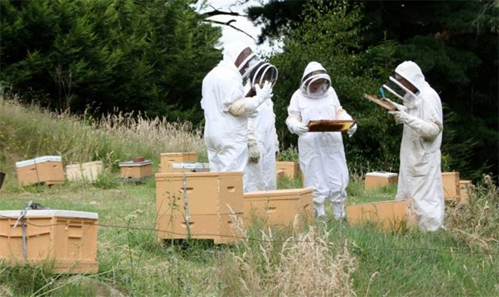  Ανακοίνωση του Κέντρου Μελισσοκομίας Καβάλας – Θάσου