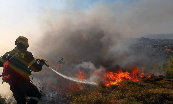  Θάσος: Πυρκαγιά σε δασική περιοχή πάνω από την παραλία της Σαλιάρας