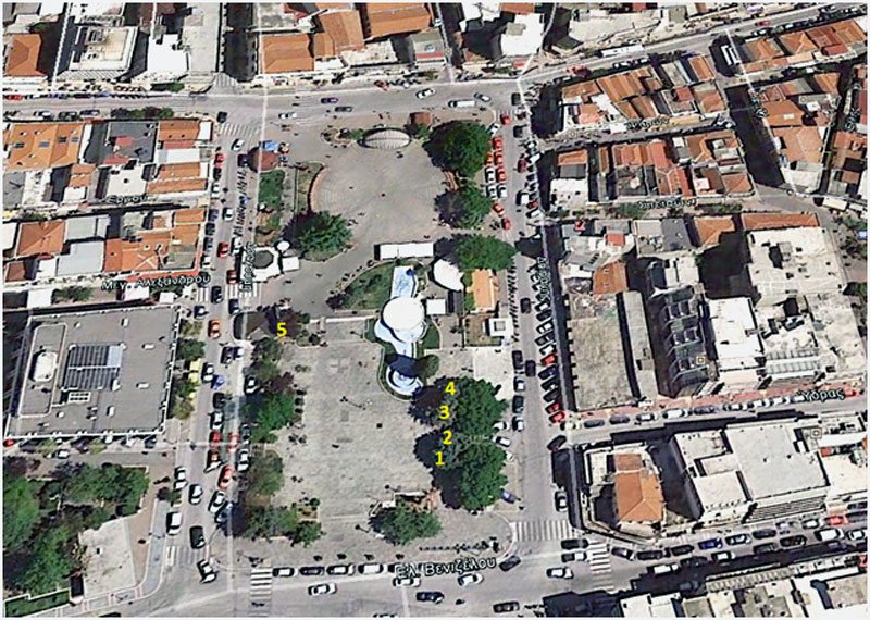  Το δημοτικό συμβούλιο αποφασίζει για την κοπή 5 δέντρων στην κεντρική πλατεία