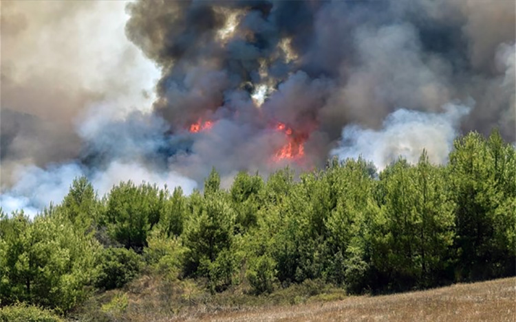  Ο Σύλλογος Καταδρομέων «Μ. Αλέξανδρος» εφιστά την προσοχή των πολιτών με αφορμή τα αυξημένα περιστατικά πυρκαγιάς στη χώρα