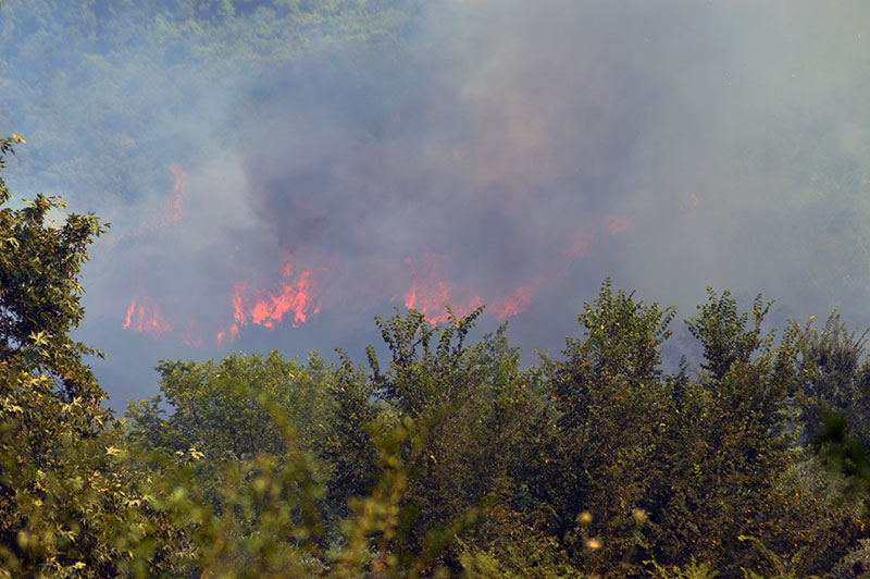  Πυρκαγιά σε δασική έκταση κοντά στην Ελευθερούπολη (φωτογραφίες)