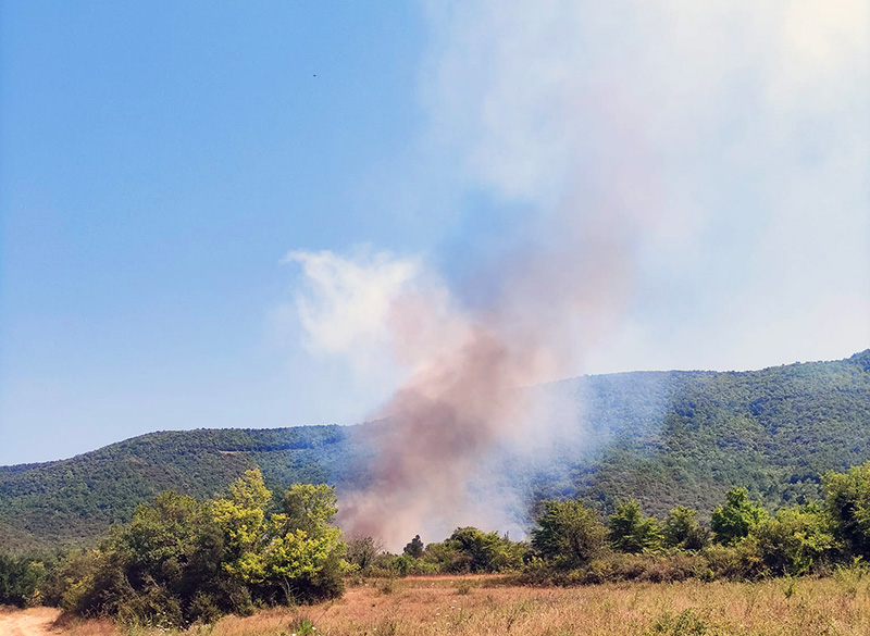  Δασική πυρκαγιά στο Δήμο Παγγαίου