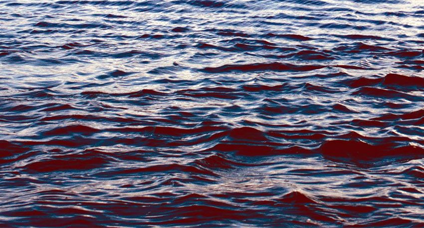  80χρονος βρέθηκε νεκρός μέσα στη βάρκα του στο Λιμένα της Θάσου