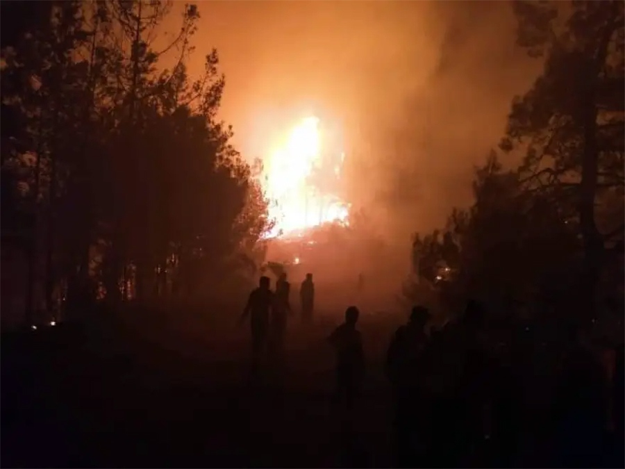  Πυκνό δάσος καίει η πυρκαγιά στη Θάσο (φωτογραφίες)