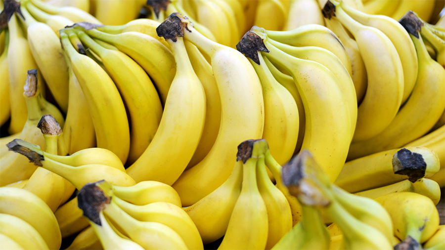  Καβάλα: Πρόστιμα 3 εκατ. ευρώ για λαθραία εισαγωγή τόνων μπανάνας από το ΣτΕ