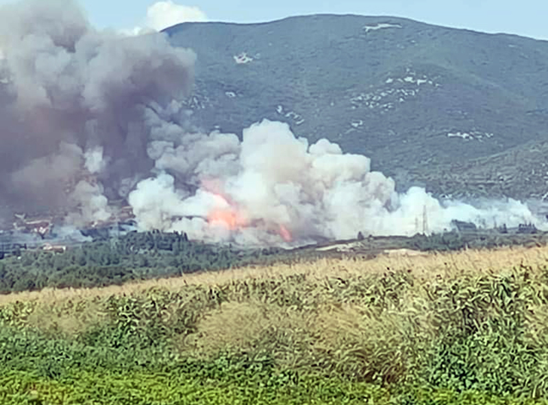  Μεγάλη πυρκαγιά στον Δήμο Νέστου: Ξεκίνησε από το Διαλεκτό και εξαπλώνεται (φωτογραφίες-videos)