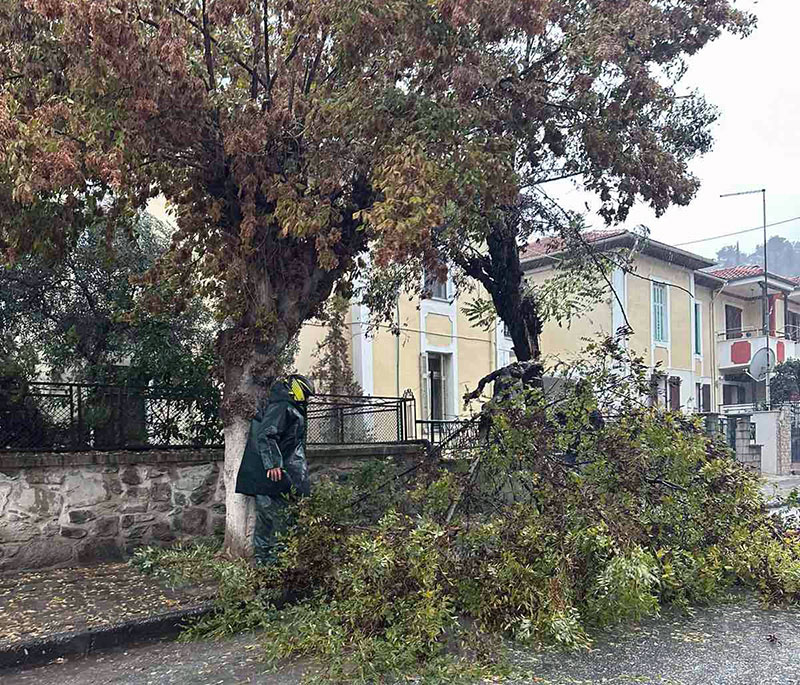  Πτώση μεγάλου κλαδιού δέντρου στο Βύρωνα (φωτογραφία)