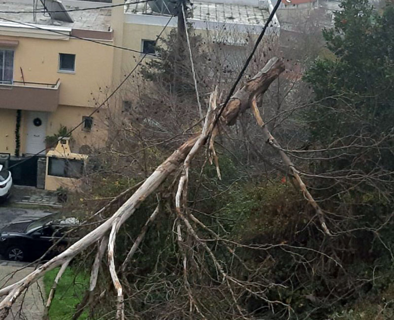  Κλαδί δέντρου πάνω σε καλώδιο ρεύματος στη Νεάπολη (ΔΕΠΟΣ)