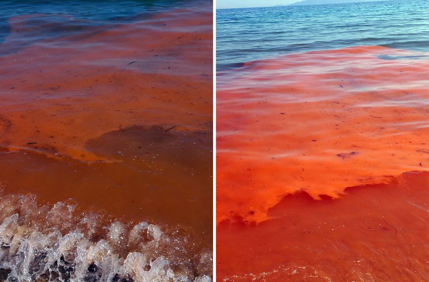  Κόκκινη η θάλασσα στην Καλαμίτσα! (φωτογραφίες)
