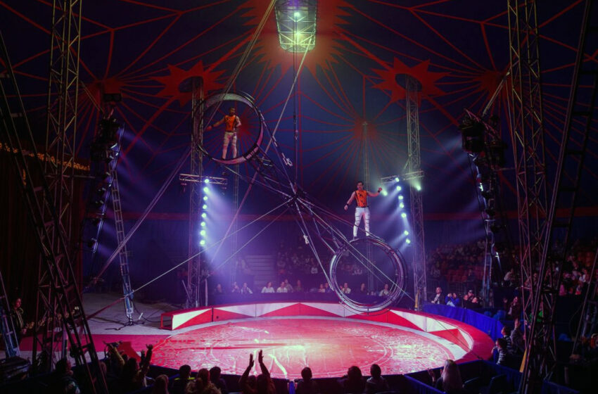  Το μεγάλο Ιταλικό Τσίρκο ORFEI EXPERIENCE μετά την πολύ επιτυχημένη περιοδεία του στην Ευρώπη, έρχεται στην Καβάλα