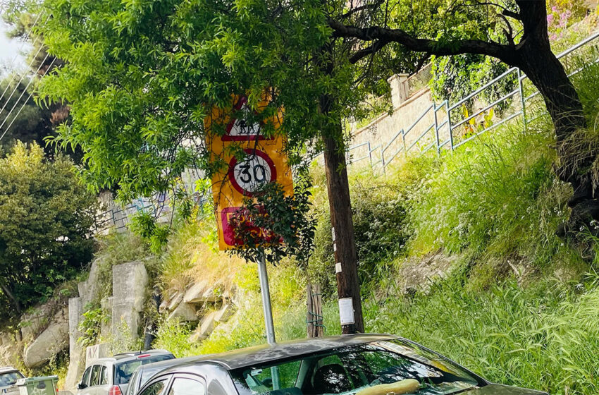  Εύλογη απορία για το σημείο που τοποθετήθηκε οδική πινακίδα στην οδό Θεσσαλονίκης